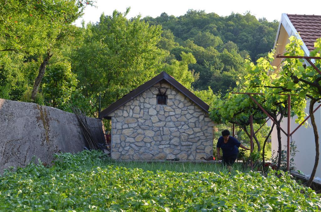 Country House Djurisic ヴィルパザル エクステリア 写真
